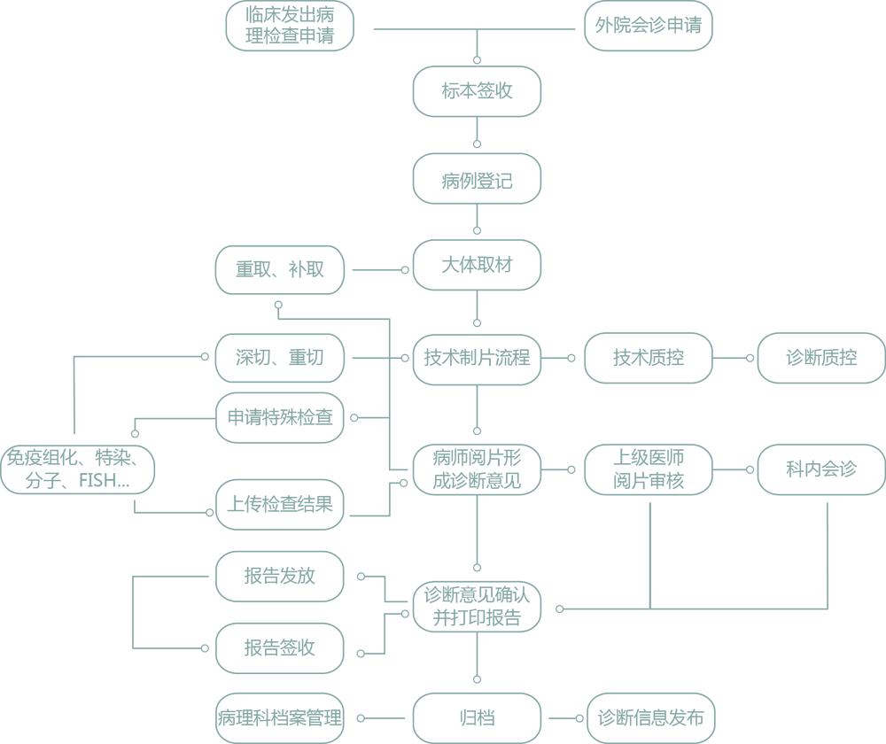 高通病理网络系统流程介绍图